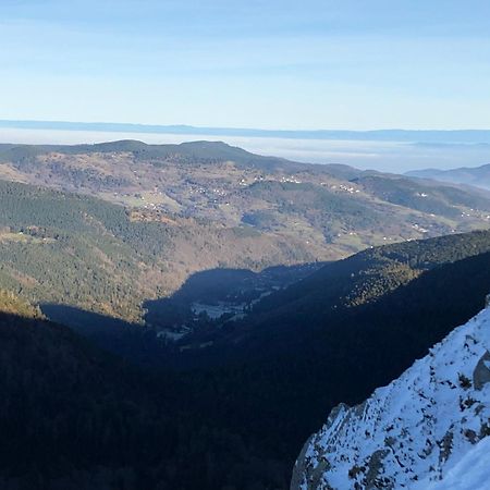 Duplex - Proche De Gerardmer Ле-Толи Экстерьер фото
