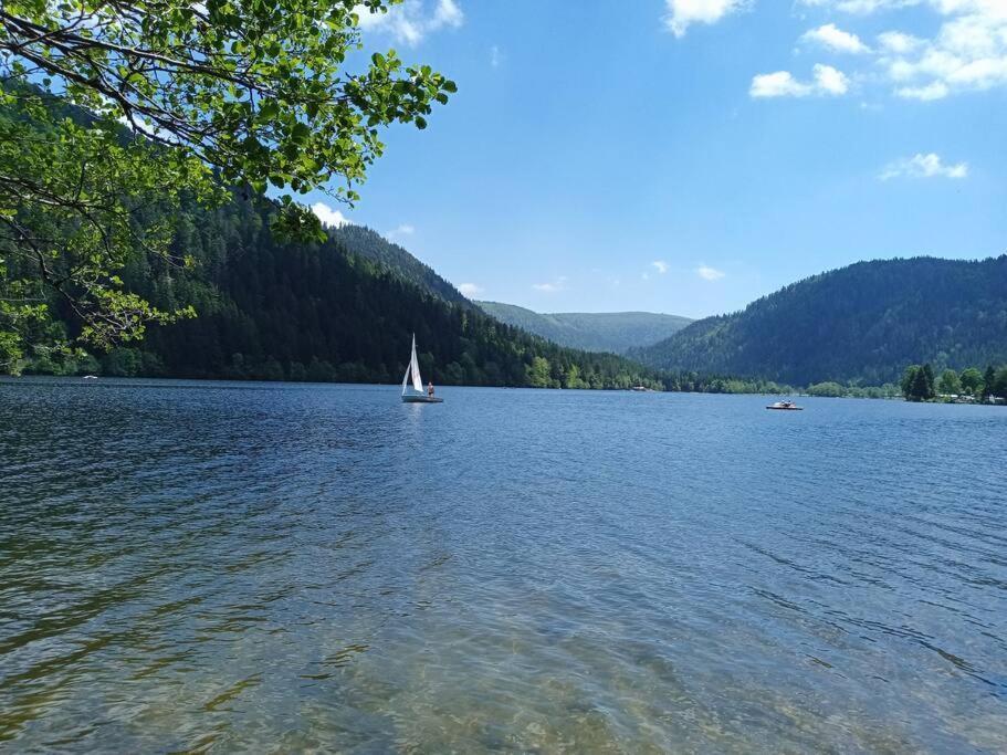 Duplex - Proche De Gerardmer Ле-Толи Экстерьер фото