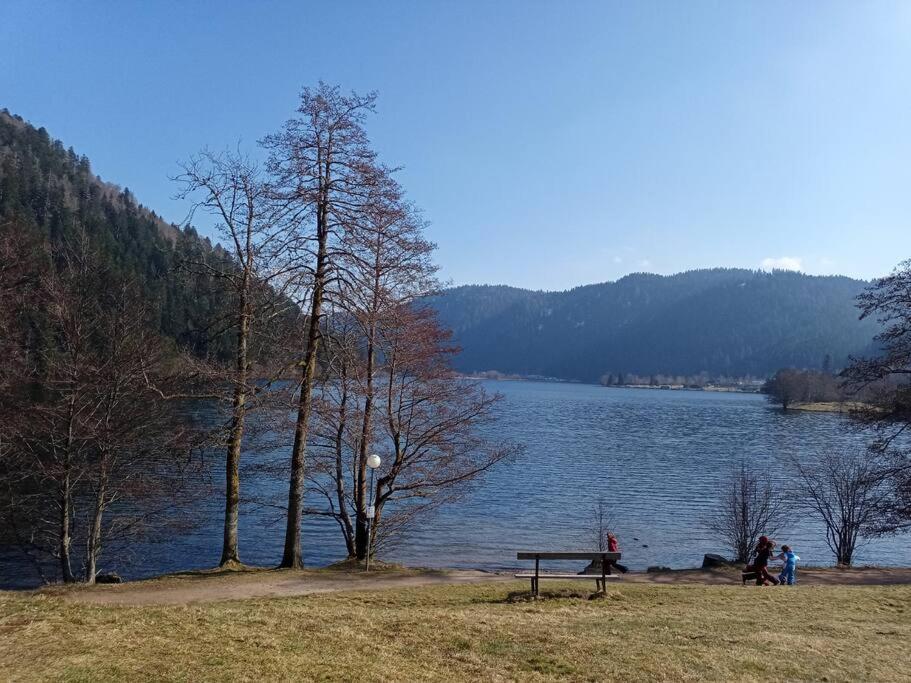 Duplex - Proche De Gerardmer Ле-Толи Экстерьер фото