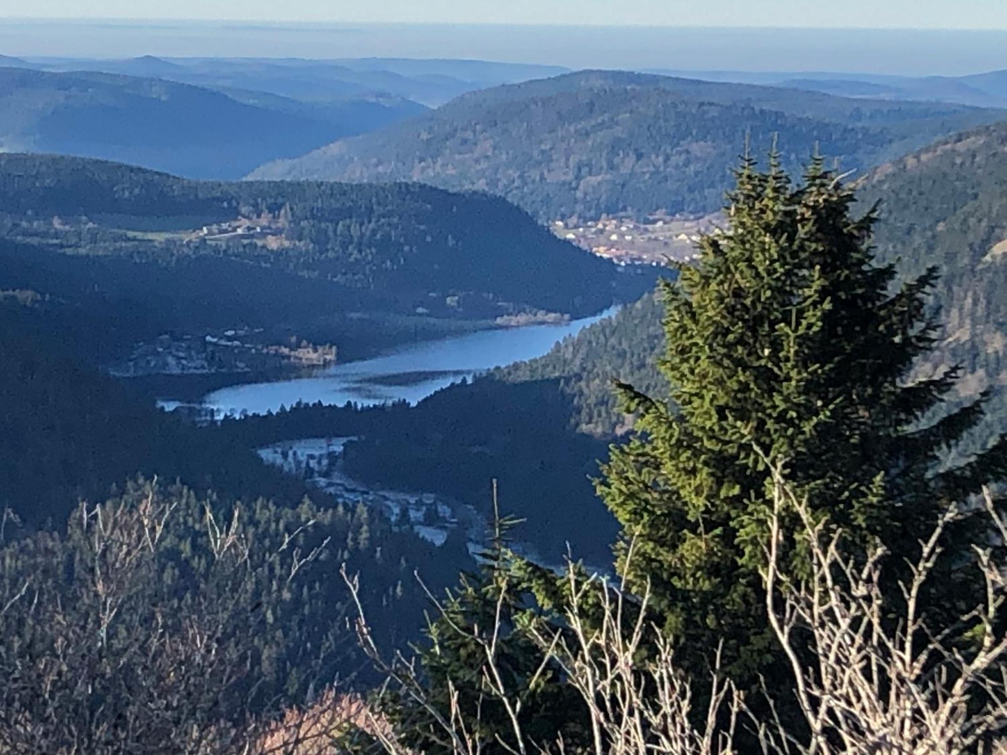 Duplex - Proche De Gerardmer Ле-Толи Экстерьер фото