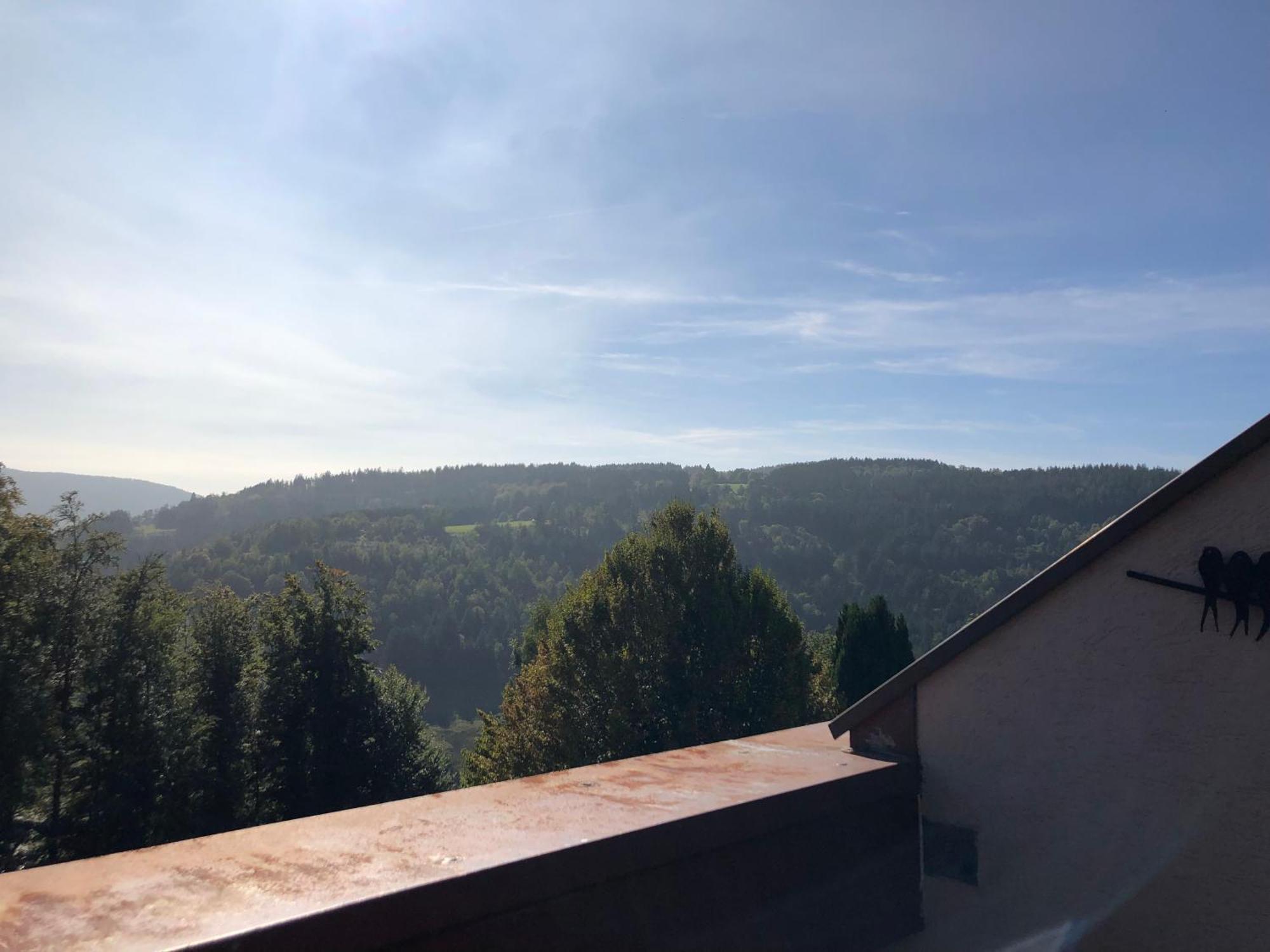 Duplex - Proche De Gerardmer Ле-Толи Экстерьер фото