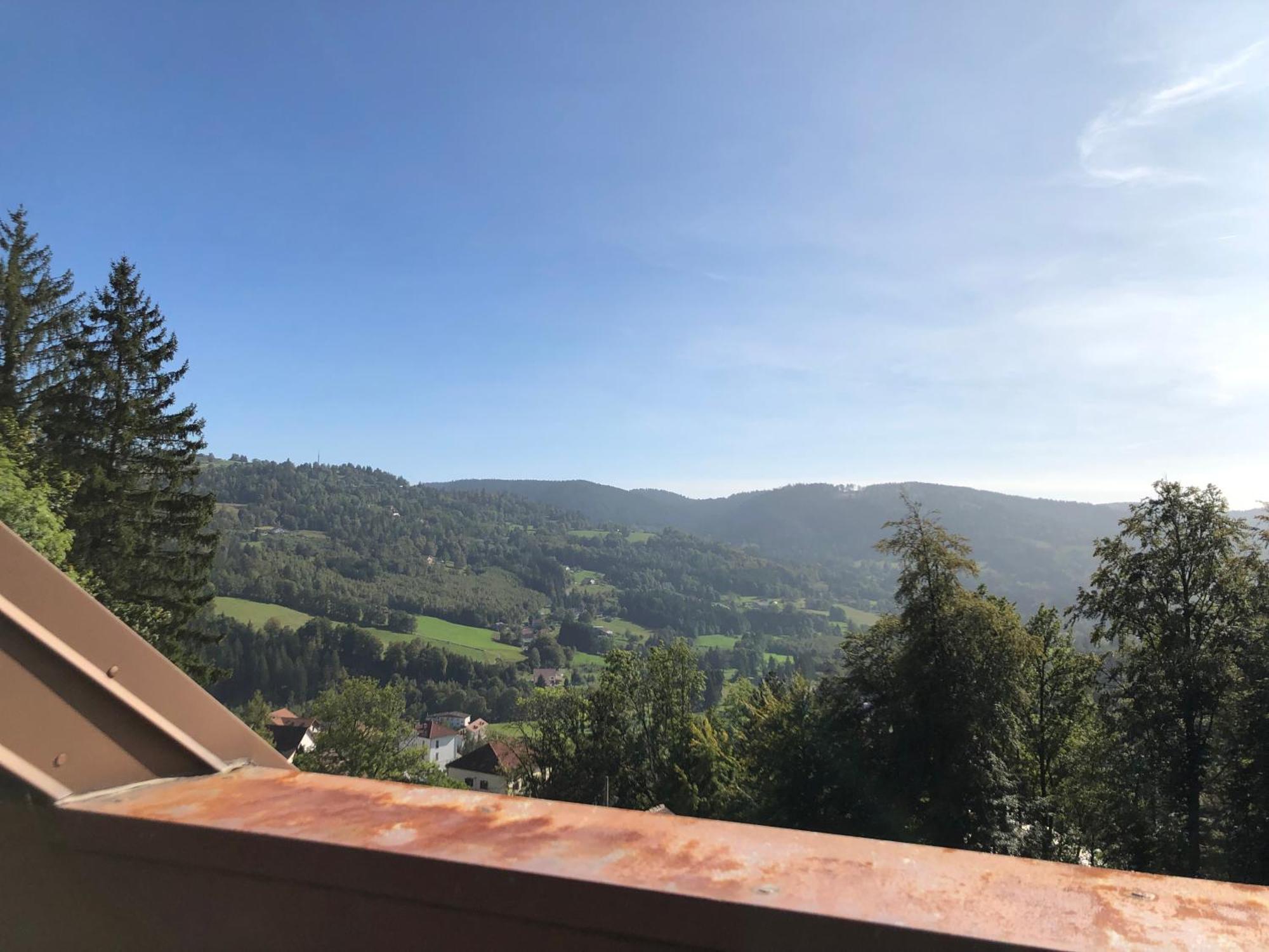 Duplex - Proche De Gerardmer Ле-Толи Экстерьер фото